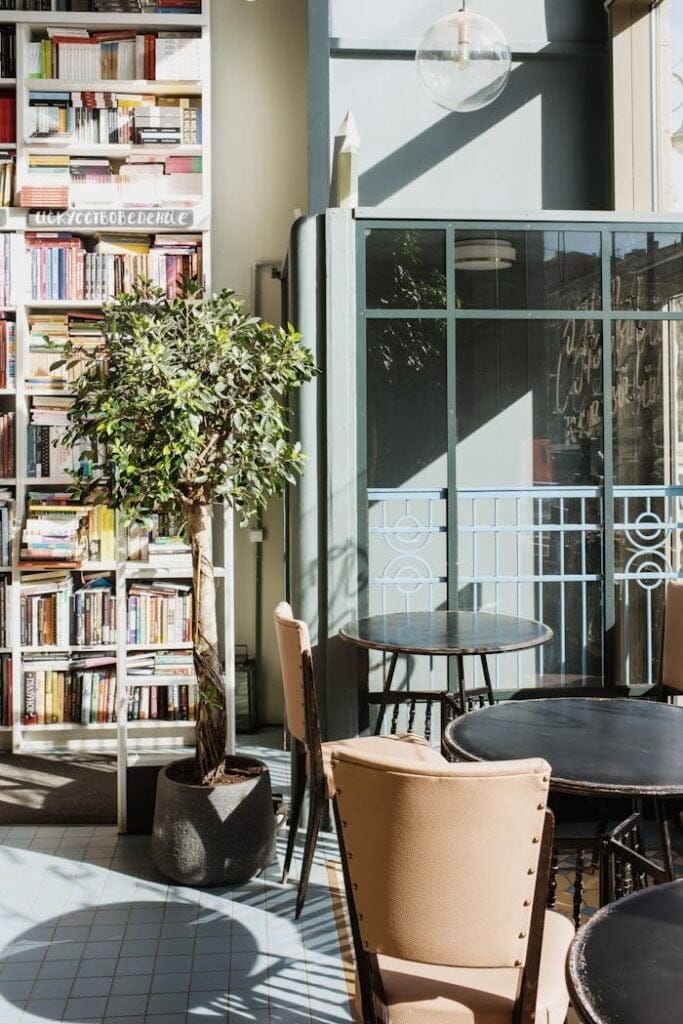 Round tables with leather chairs put near potted green tree and bookshelf close to fenced window and transparent hanging lamp in sunlight